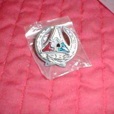 NOS Mopar Deck Lid Ornament 1971 Dodge Charger SE