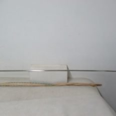 2495166