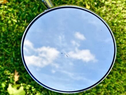 DOOR MIRROR