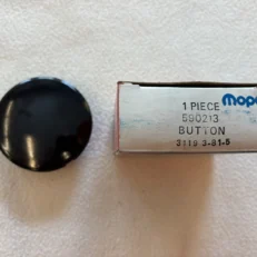 HORN BUTTON