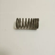 VALVE SPRING