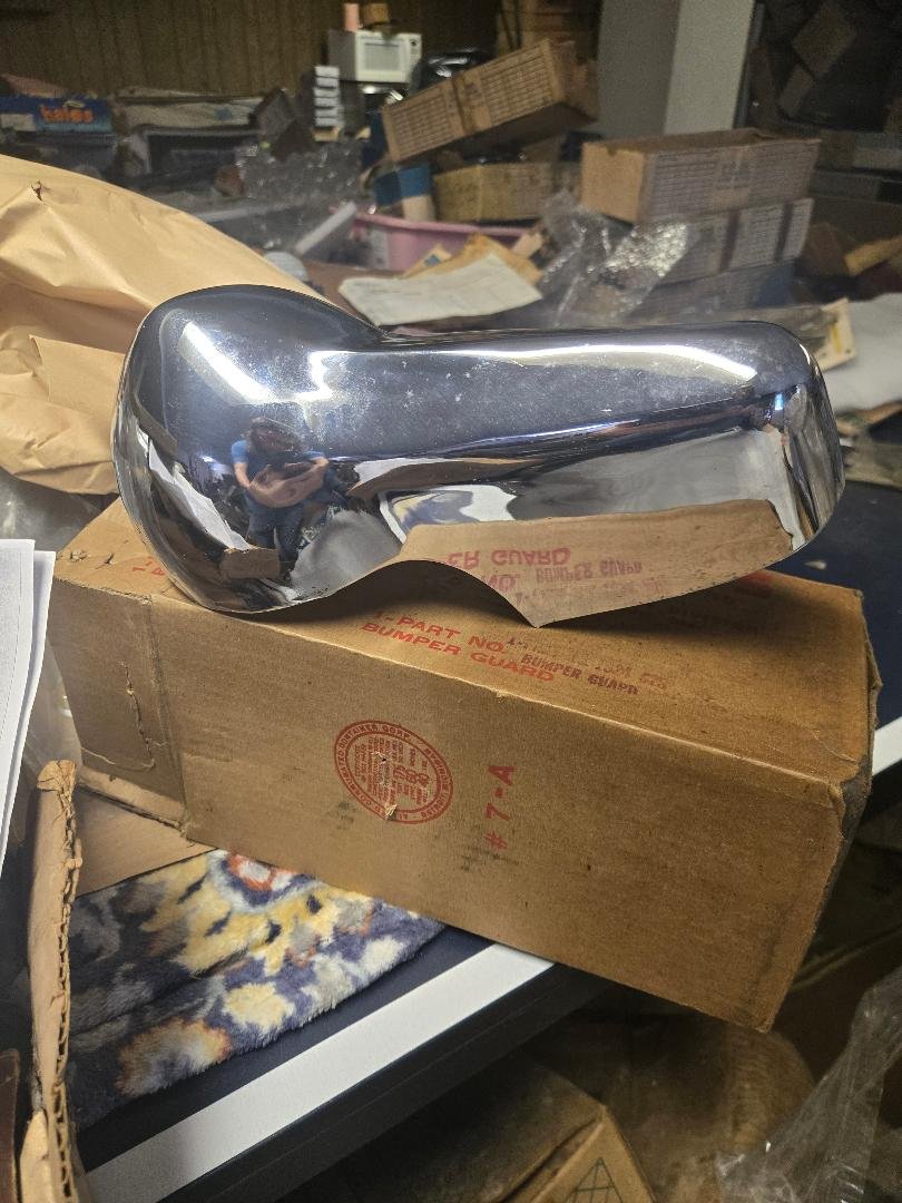 BUMPER GUARD