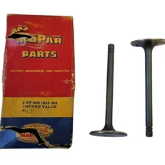 INTAKE VALVE