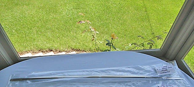 HOOD MOULDING