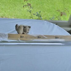 DOOR MOULDING