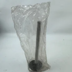 INTAKE VALVE