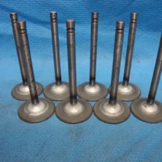 INTAKE VALVE